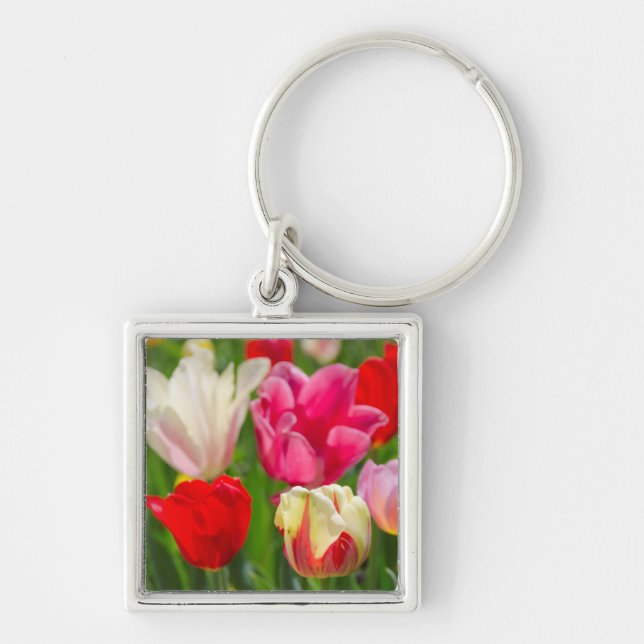 USA, Tennessee, Nashville Schlüsselanhänger (Vorne)