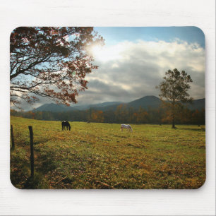 USA, Tennessee. Pferde im Cades Cove Tal Mousepad