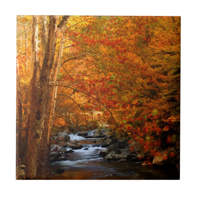 USA, Tennessee. Rushing Mountain Creek 2 Fliese (Vorderseite)