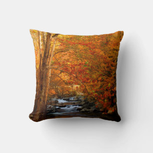 USA, Tennessee. Rushing Mountain Creek 2 Kissen