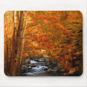 USA, Tennessee. Rushing Mountain Creek 2 Mousepad