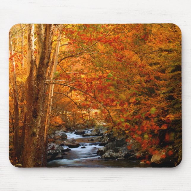 USA, Tennessee. Rushing Mountain Creek 2 Mousepad (Vorne)