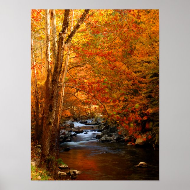 USA, Tennessee. Rushing Mountain Creek 2 Poster (Vorne)