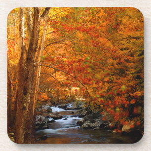 USA, Tennessee. Rushing Mountain Creek 2 Untersetzer