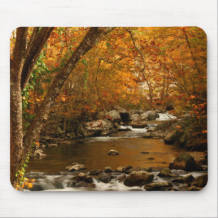 USA, Tennessee. Rushing Mountain Creek 3 Mousepad