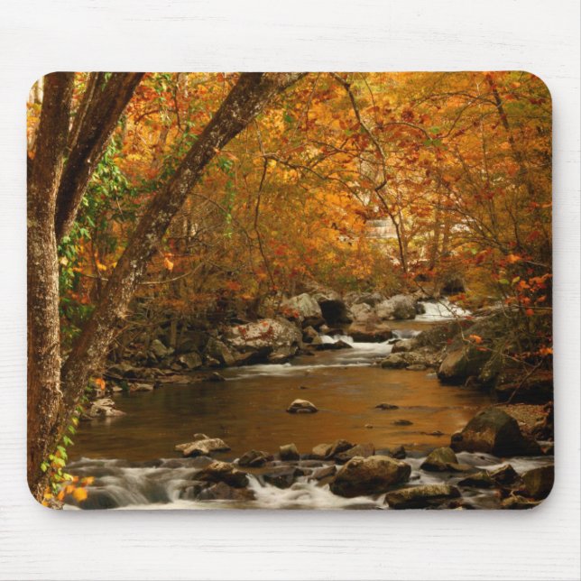 USA, Tennessee. Rushing Mountain Creek 3 Mousepad (Vorne)
