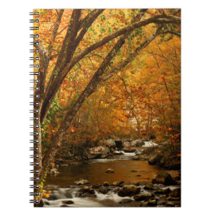 USA, Tennessee. Rushing Mountain Creek 3 Notizblock
