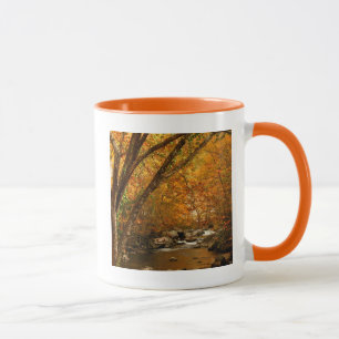 USA, Tennessee. Rushing Mountain Creek 3 Tasse