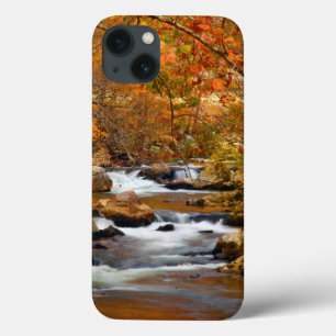USA, Tennessee. Rushing Mountain Creek Case-Mate iPhone Hülle