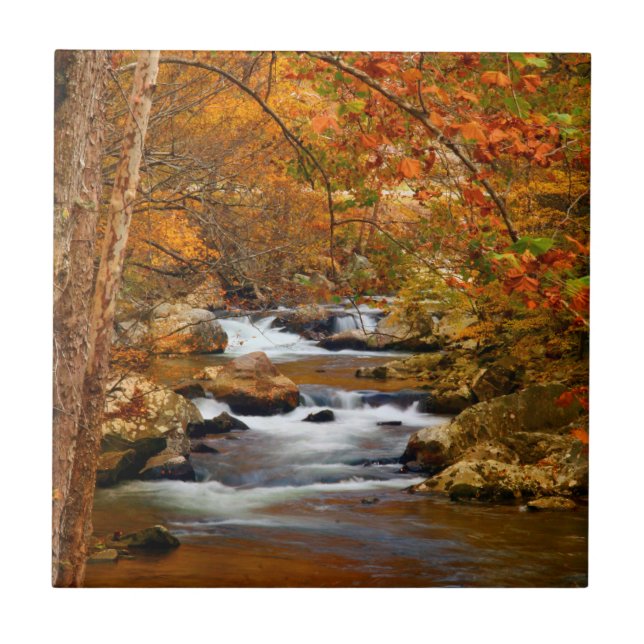 USA, Tennessee. Rushing Mountain Creek Fliese (Vorderseite)