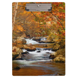 USA, Tennessee. Rushing Mountain Creek Klemmbrett