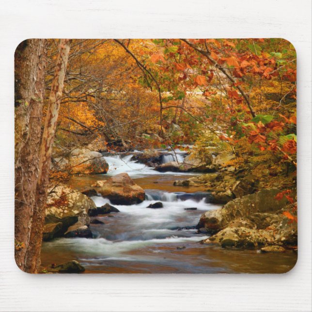 USA, Tennessee. Rushing Mountain Creek Mousepad (Vorne)