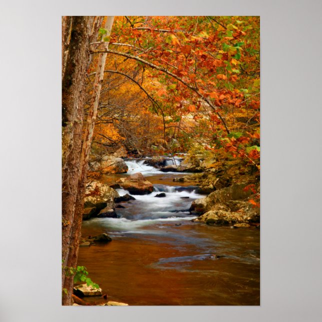 USA, Tennessee. Rushing Mountain Creek Poster (Vorne)