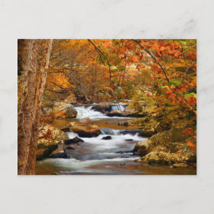 USA, Tennessee. Rushing Mountain Creek Postkarte