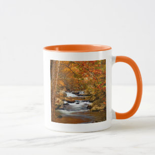 USA, Tennessee. Rushing Mountain Creek Tasse