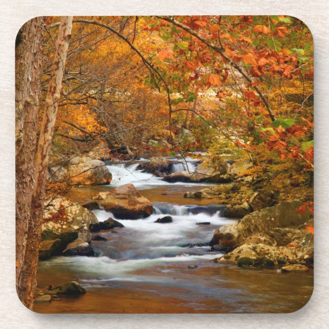 USA, Tennessee. Rushing Mountain Creek Untersetzer (Vorderseite)