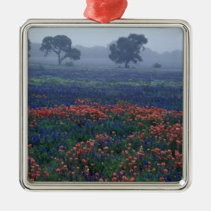 USA, Texas, bei Lytle Fog, Eichen, blaue Hauben Silbernes Ornament