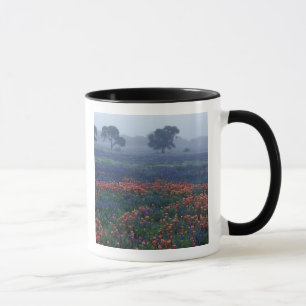 USA, Texas, bei Lytle Fog, Eichen, blaue Hauben Tasse