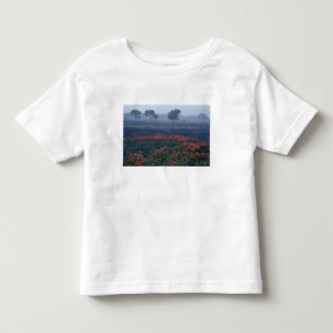USA, Texas, bei Lytle Nebel, Eichen, blaue Hauben Kleinkind T-shirt