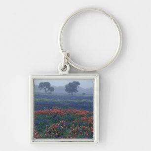 USA, Texas, bei Lytle Nebel, Eichen, blaue Hauben Schlüsselanhänger