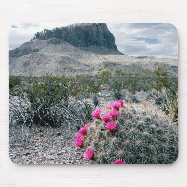 USA, Texas, Big Bend National Park.Blühen Mousepad (Vorne)