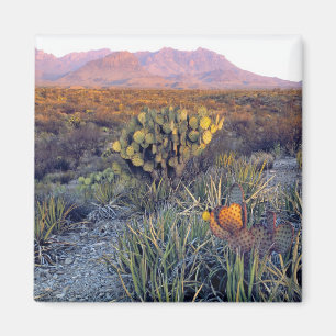 USA, Texas, Big Bend NP. Sandrosa Dämmerung Magnet