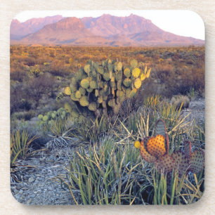 USA, Texas, Big Bend NP. Sandrosa Dämmerung Untersetzer