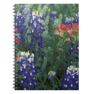 USA, Texas Hill Country. Blaue Lupinen und Notizblock