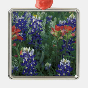 USA, Texas Hill Country. Blaue Lupinen und Ornament Aus Metall