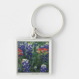 USA, Texas Hill Country. Blaue Lupinen und Schlüsselanhänger