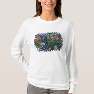 USA, Texas Hill Country. Blaue Lupinen und T-Shirt