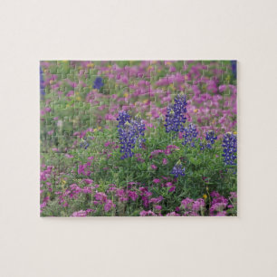 USA, Texas Hill Country. Blaue Lupinen unter Phlox Puzzle