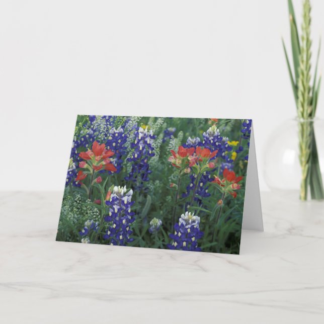 USA, Texas Hill Country. Bluebonetze und Karte (Vorderseite)