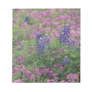 USA, Texas Hill Country. Bluebonnets Notizblock