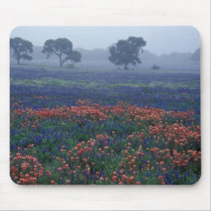 USA, Texas, in der Nähe von Lytle Fog, Eichen, bla Mousepad