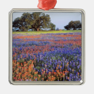 USA, Texas, Llano. Blaue und rote Lupinen Ornament Aus Metall