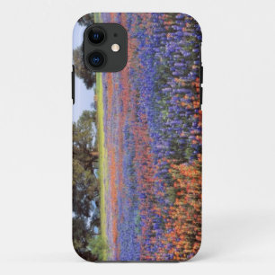 USA, Texas, Llano. Blaue und rote Mohnblumen Case-Mate iPhone Hülle