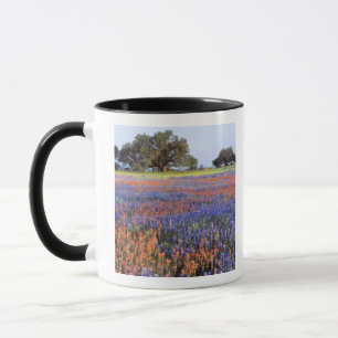USA, Texas, Llano. Blaue und rote Mohnblumen Tasse