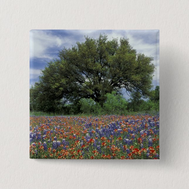 USA, Texas, Marble Falls Paintbrush und Button (Vorderseite)