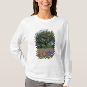 USA, Texas, Marble Falls Pinsel und T-Shirt