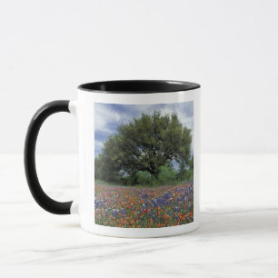 USA, Texas, Marble Falls Pinselblume und Tasse