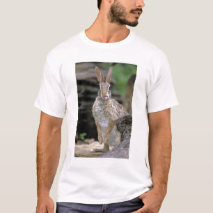 USA, Texas, Rio Grande Valley. Wilde Wüste T-Shirt