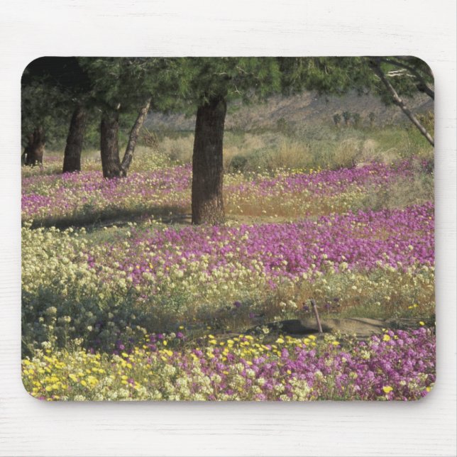 USA, Texas, Sand Verbena und Brown-mit Augen Mousepad (Vorne)