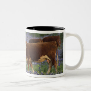 USA, Texas, Texas Hill Country, Hereford Zweifarbige Tasse