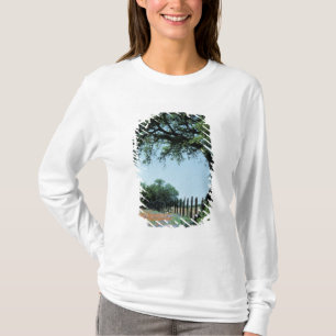 USA, Texas, Texas Hill Country Paintbrush und T-Shirt