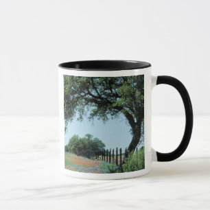 USA, Texas, Texas Hill Country Paintbrush und Tasse