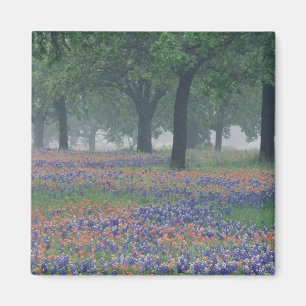 USA, Texas, Texas Hill Country Weites Feld Magnet