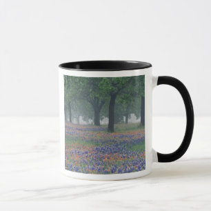 USA, Texas, Texas Hill Country Weites Feld Tasse