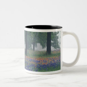 USA, Texas, Texas Hill Country Weites Feld Zweifarbige Tasse