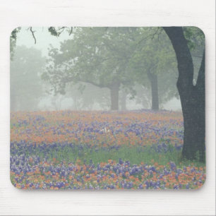 USA, Texas. Texas-Pinsel und Bluebonnets Mousepad